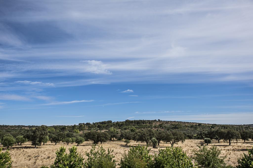 Herdade Dos Alfanges "The Barn" Виана до Алентежо Екстериор снимка